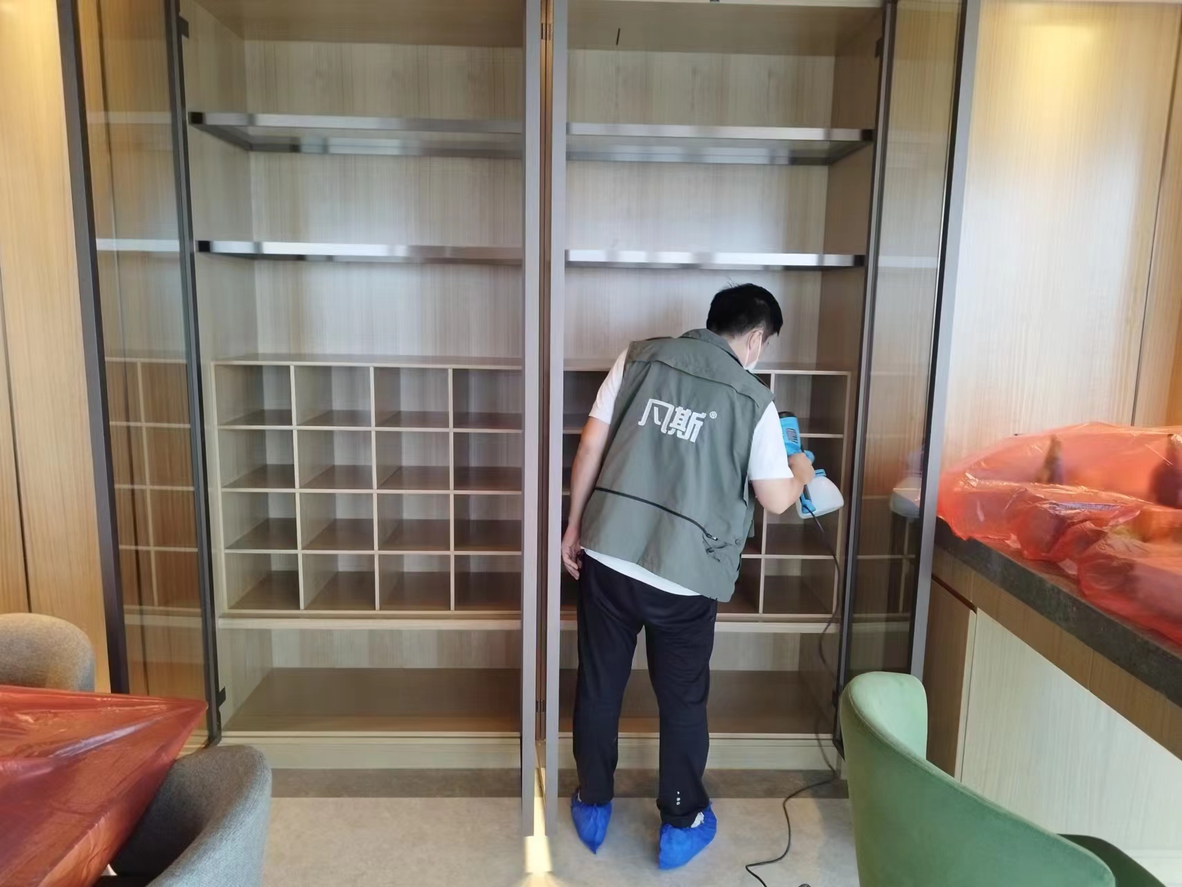 家里綠植的選購技巧，凈化室內(nèi)空氣